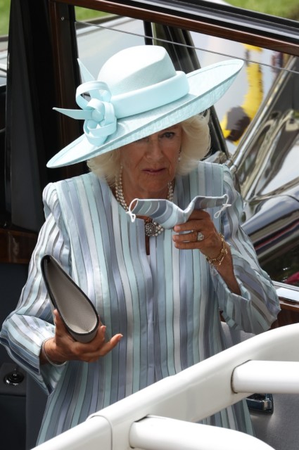 , Prince Charles and Camilla dress to the nines for Royal Ascot – while the Queen stays home to conduct duties