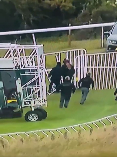 , Terrifying moment female jockey is launched through barricade by uncontrollable horse that bolts to post before race