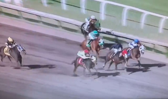 , Punters stunned as jockey brutally faceplants dirt after falling off leading horse as rank 62-1 outsider storms to win