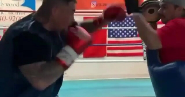 , Watch Andy Ruiz Jr train in ring as Anthony Joshua’s old rival proves he hasn’t lost his lightning-quick hand speed