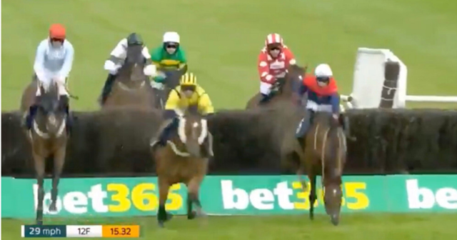 , Watch jockey’s incredible recovery from near-certain fall before somehow going onto win