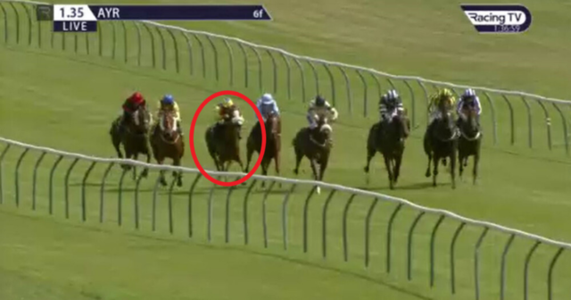, Punters celebrate massive windfall after somehow backing 999-1 in-running winner who stole race in dramatic photo finish