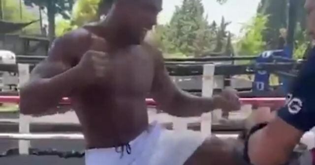 , Watch Anthony Joshua ‘floor’ ex-UFC star with jumping knee as he takes leaf out of Tyson Fury’s book during MMA training