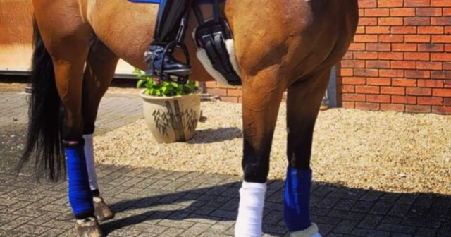 , Asmir Begovic’s wife Nicolle dresses in Everton kit and rides horse to announce husband’s transfer move