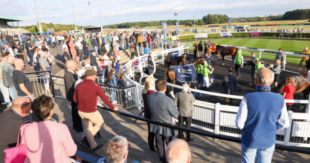 , Newmarket Red lead the way as £2 million Racing League finally bursts into life at Newcastle