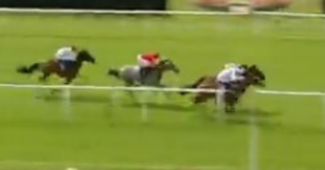 , Watch amazing moment MASSIVE 80-1 outsider causes a giant shock against 1-4 favourite to leave punters scratching heads