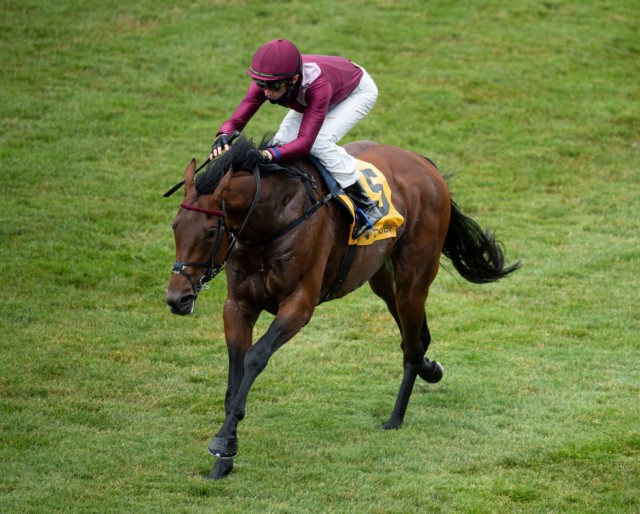 , Our man gives his view on the Coral Eclipse – a poor turnout or a race to look forward to?
