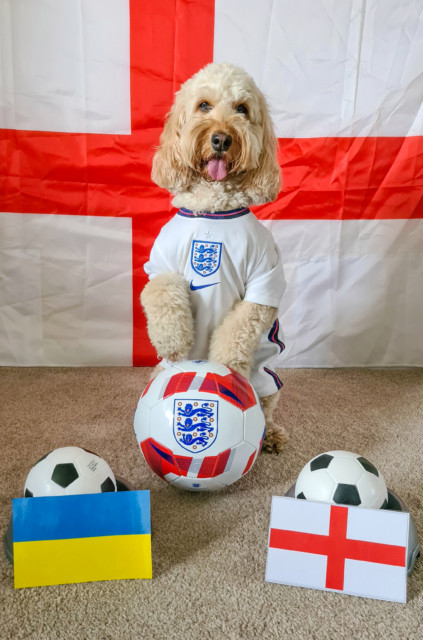 , Euro 2020: UK’s cleverest dog predicts another win for England against Ukraine