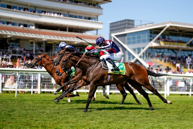 , Gamble landed in Newbury Super Sprint as Richard Hannon’s fine spell continues with 59-1 double