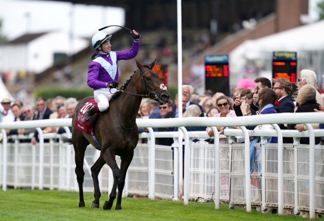 , Alcohol Free leaves rivals punch-drunk with impressive win in Sussex Stakes at Glorious Goodwood