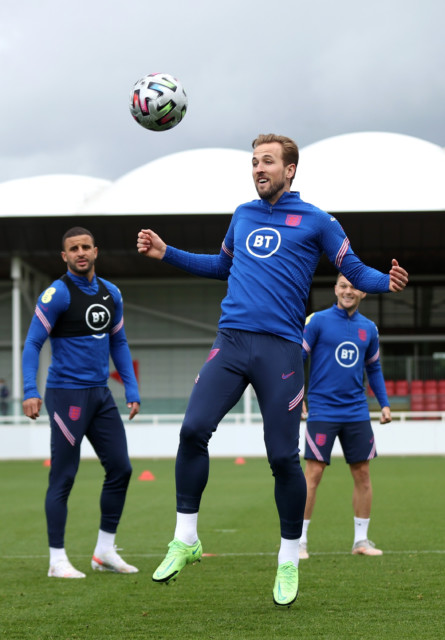 , Euro 2020 star Harry Kane backed to lead England into first major final since 1966 — by a Great Dane