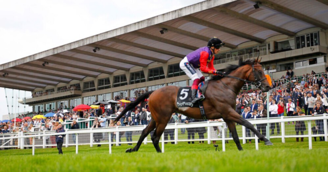 , Excitement grows as The Queen’s Reach For The Moon wins Solario Stakes and now just 14-1 for Epsom Derby
