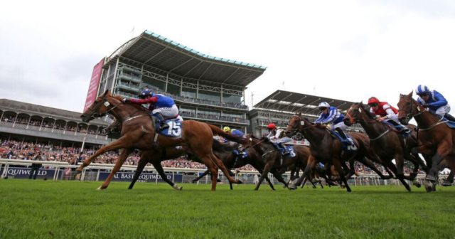 , York Ebor betting offer: Get either Stradivarius or Trueshan to win the York Lonsdale Cup at huge 25/1