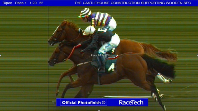 , Dramatic dead heat at Ripon as judges can’t split front pair despite lengthy photo finish