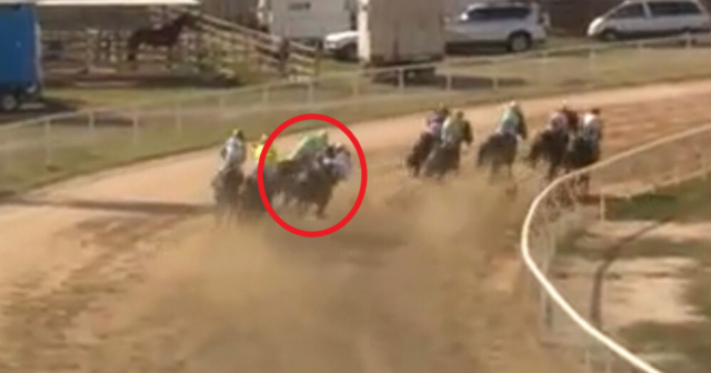 , Watch hero jockey sacrifice victory to save rival from potentially fatal fall with incredible mid-race move