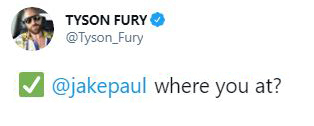 , Tyson Fury calls out Jake Paul to fight Tommy even before half-brother’s most-recent win with YouTuber bout on the cards