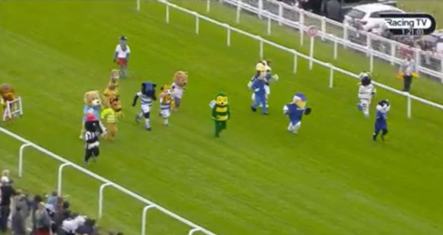 , Watch hilarious mascot race’s dramatic finish with controversial magpie winner that leaves punters in stitches