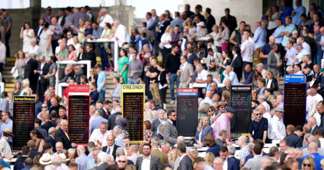 , Matt Chapman’s Monday Yeeehaaa – It’s time thugs and hooligans are banned from racecourses once and for all