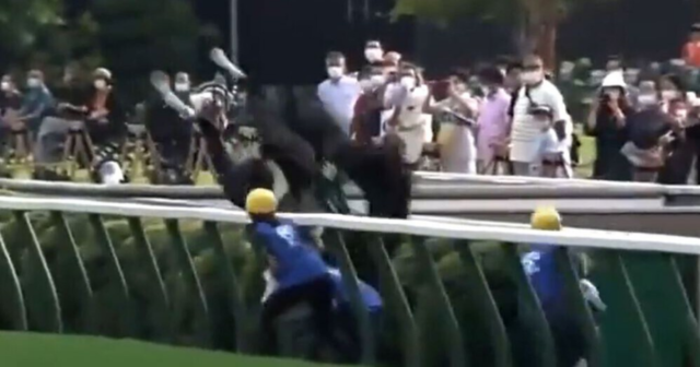 , Watch mad moment horse does full Fosbury Flop backflip over rail as punters react with horror to terrifying incident