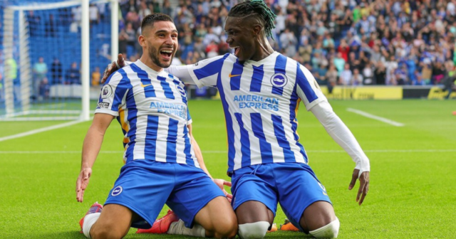 , Fans of Brighton and Hove Albion are highest up the exam table with most GCSEs