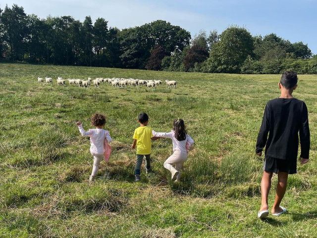 , Cristiano Ronaldo switches mansions after bleating sheep kept waking him up