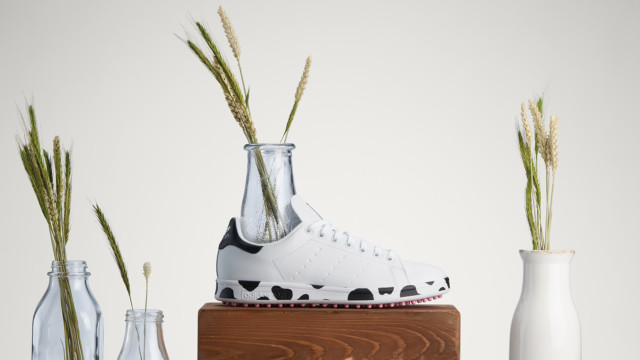 , Adidas release COW-inspired Stan Smith golf shoes to celebrate Ryder Cup being staged in ‘America’s Dairyland’ Wisconsin