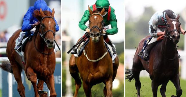 , Arc preview: Which horses will love the soft ground at Longchamp races on Sunday?