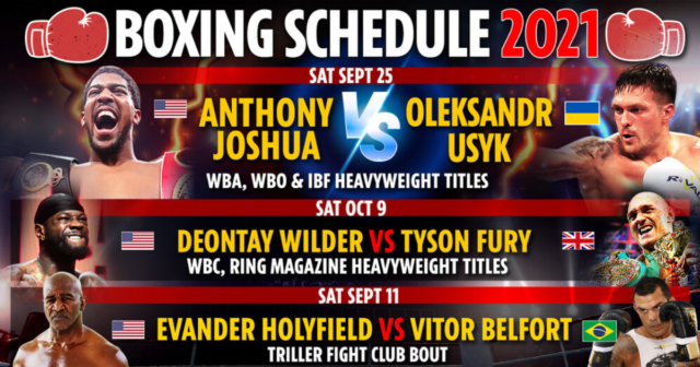 , Upcoming boxing fights 2021: Fixture schedule – Haye vs Fournier, Joshua vs Usyk CONFIRMED, Fury vs Wilder 3 DATE