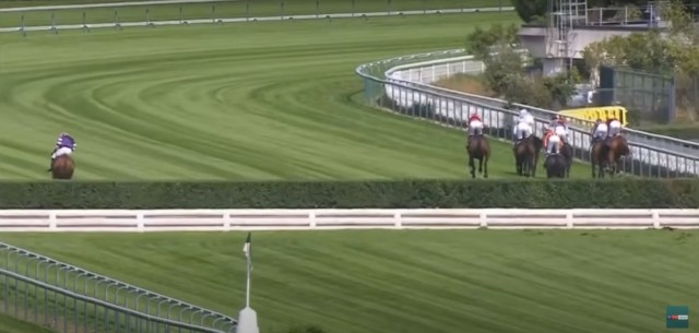 , Watch crazy horse race punters label ‘strangest ever’ after nightmare incident somehow leads to £21,000 win