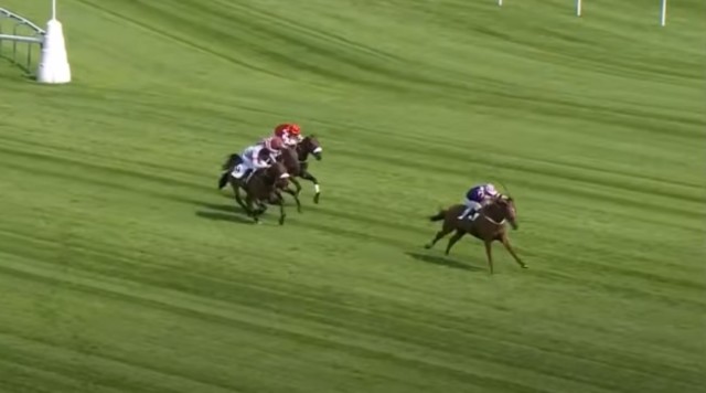 , Watch crazy horse race punters label ‘strangest ever’ after nightmare incident somehow leads to £21,000 win