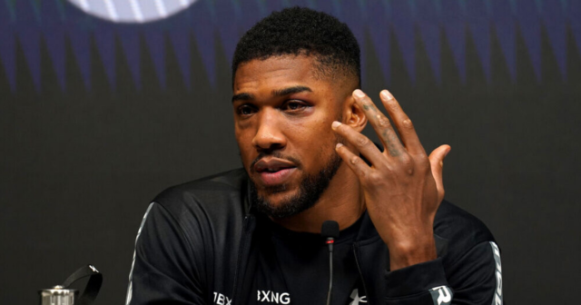 , Anthony Joshua announces he is willing to fight Deontay Wilder next year in huge fight before taking on Tyson Fury