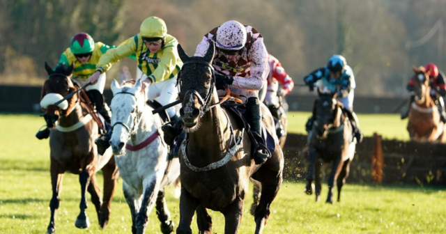 , Lingfield to stage new £1 million jumps meeting in the build up to the Cheltenham Festival
