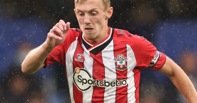 , Southampton captain James Ward-Prowse handed shock England call-up by Gareth Southgate for World Cup qualifiers
