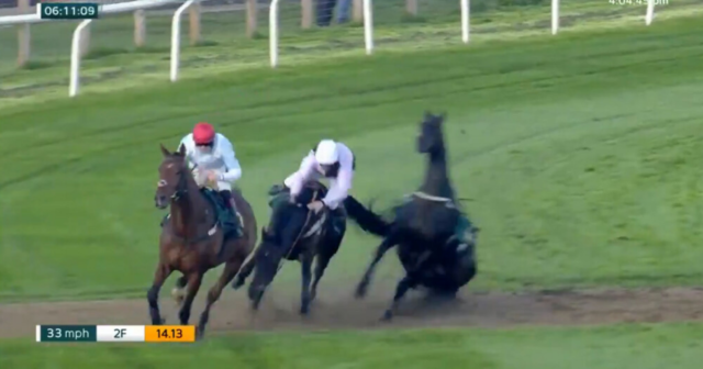 , Watch horror moment loose horse causes carnage at Fakenham