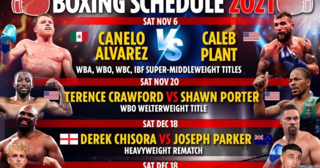 , Upcoming boxing fights 2021: Fixture schedule – Canelo Alvarez vs Caleb Plant THIS WEEK, Jake Paul vs Tommy Fury DATE