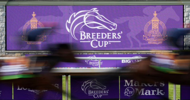 , Matt Chapman’s Monday Yeeehaaa – So much to look forward to with the Breeders’ Cup, Champions Day and jumps season