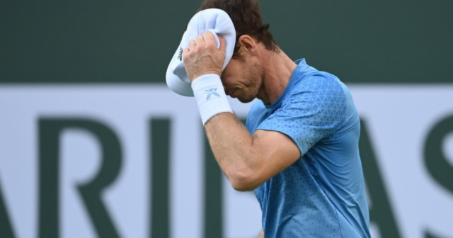 , Andy Murray set to fall outside top 170 in world tennis rankings despite battling performances at Indian Wells