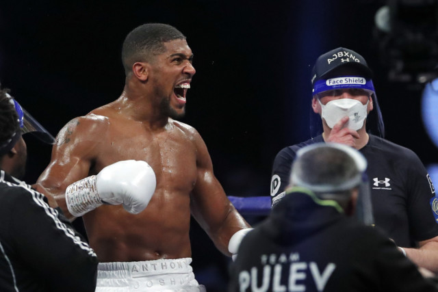 , Anthony Joshua vs Deontay Wilder tale of the tape as Brit talks up big-hitter bout before Tyson Fury fight