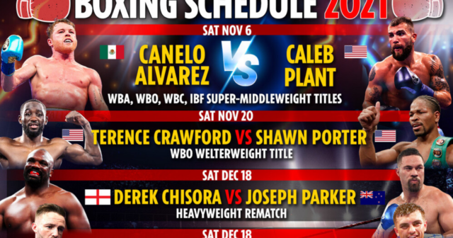 , Upcoming boxing fights 2021: Fixture schedule – Dillian Whyte vs Otto Wallin CANCELLED, Canelo Alvarez vs Caleb Plant
