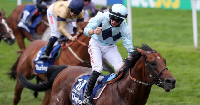 , Big shake up in Champions Sprint betting at Ascot as favourite Starman retired to stud through injury