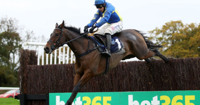 , Shan Blue ruled out until the spring after agonising horror fall in Charlie Hall with Ladbrokes Trophy betting shake-up