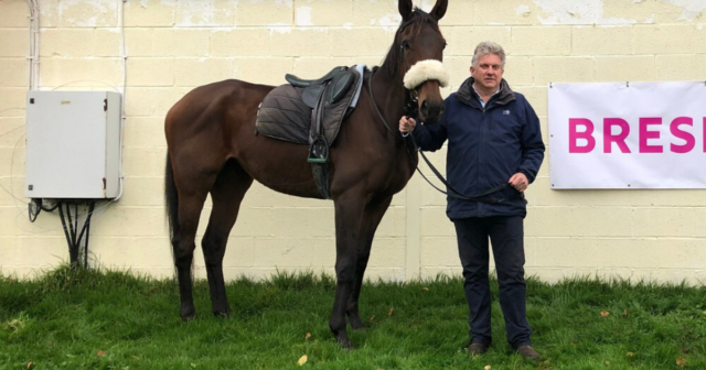 , Trainer hit with bankruptcy and forced to muck out completes remarkable comeback with Cheltenham and Aintree winners