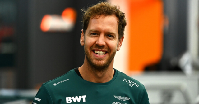 , Sebastian Vettel jokes he will ‘touch Lewis Hamilton’s rear wing’ after Brit disqualified from Sao Paulo GP qualifying