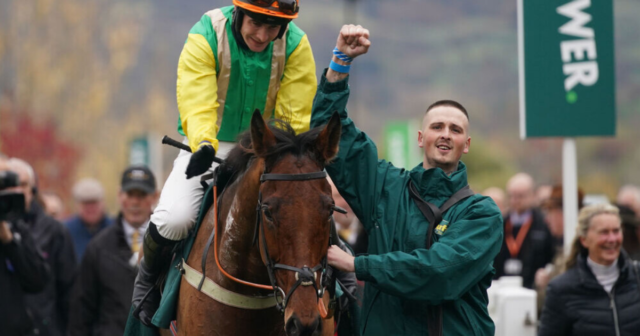 , Yorkshire-trained Midnight Shadow bags huge prize for the North with Paddy Power Gold Cup success at Cheltenham
