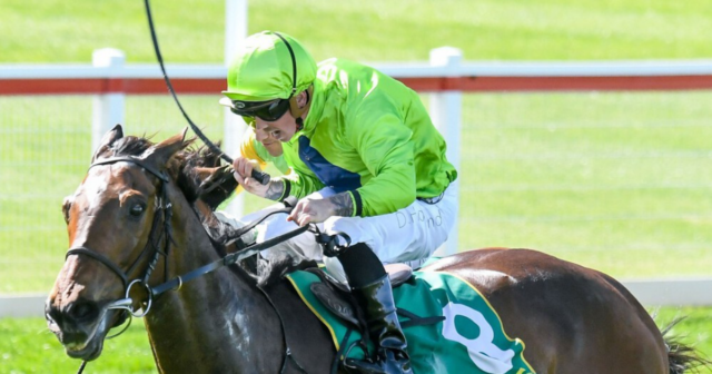 , Two jockeys banned and one fined after Melbourne Cup as winner Verry Elleegant breaks 160-year curse
