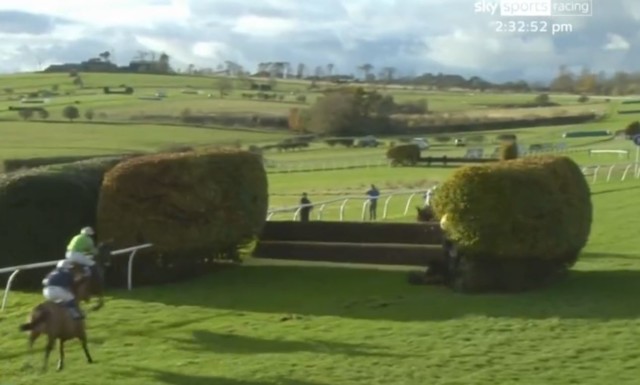 , Watch horses and jockeys disappear into HEDGE during unbelievable final-fence scene at Hexham
