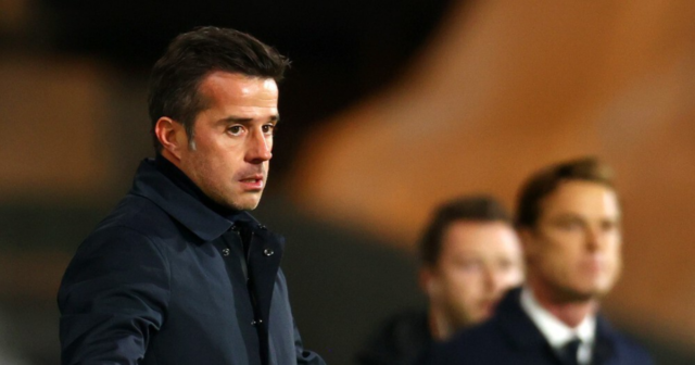 , Marco Silva’s Fulham are favourites for promotion back to Premier League – and this time they can stay up