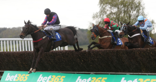, Templegate tip and complete runner-by-runner guide to Cross Country Handicap Chase at Cheltenham on Friday