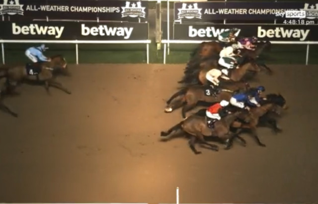 , Watch incredible moment EIGHT horses cross finish line at nearly same time leaving punters stumped on who has won