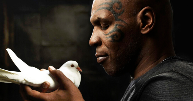 , Mike Tyson reveals he dumped ex-girlfriend after she killed, cooked and ate one of his favourite pet pigeons